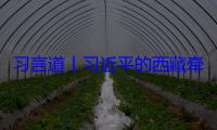 习言道丨习近平的西藏牵挂